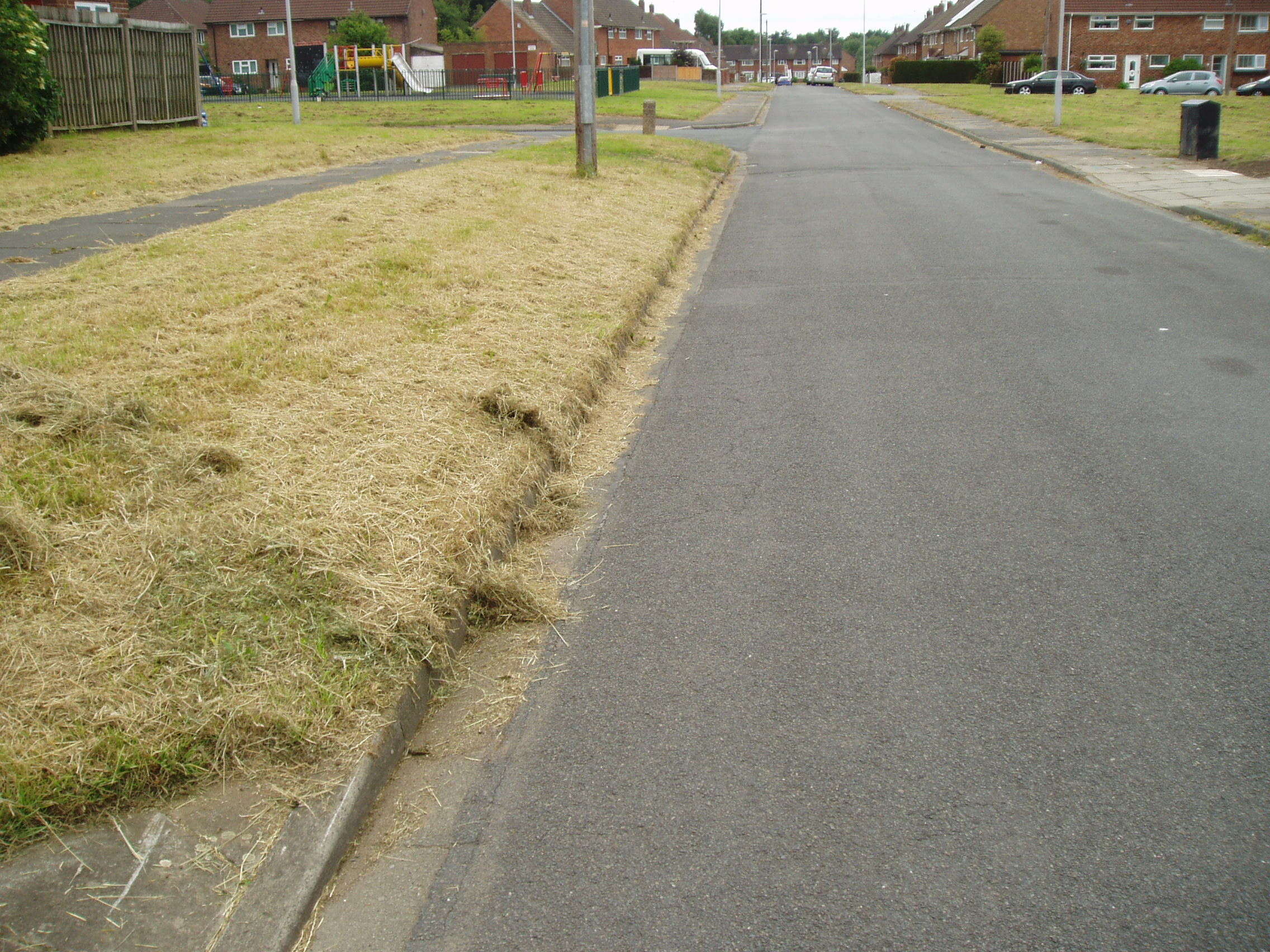 Attached picture GRASS 5.JPG